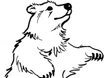 Dibujo de un oso infantil