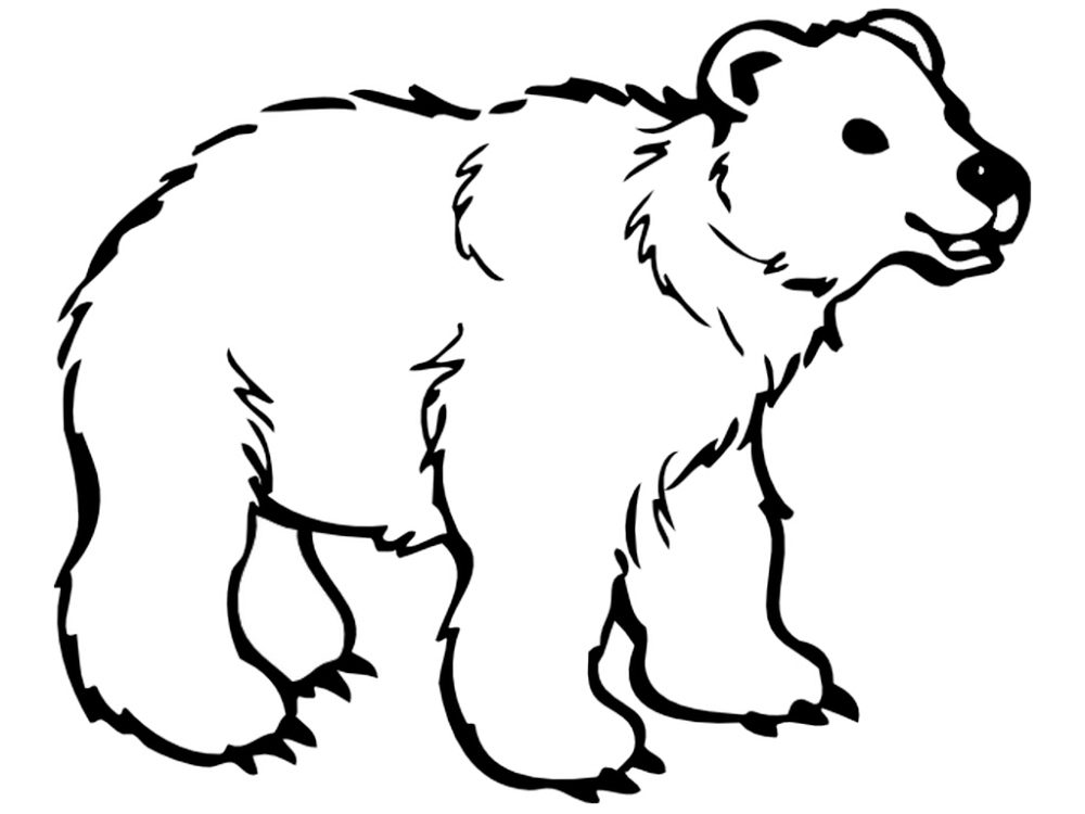 Dibujo de oso para colorear